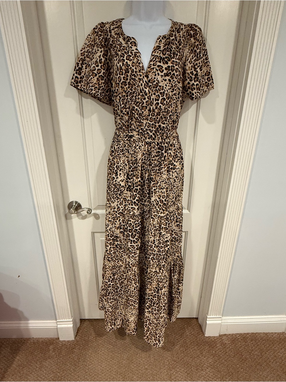 Anthropologie Anthropologie Somerset Maxi Dress in Cheetah